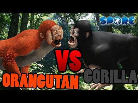 Orangutan vs Silverback Gorilla | Animal Fight Club [S2E4] | SPORE