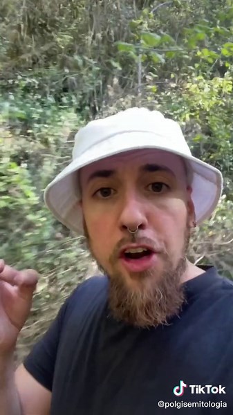 Apolo y Dafne: Chismes Mitológicos de Amor y Odio