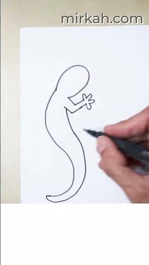 How To Draw a Lizard #drawing #howtodraw #tutorial