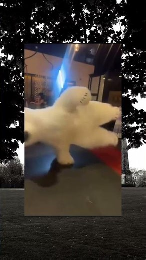 POV The Bear Showed Up To Your Event #shorts #funny #prank #funnymoments