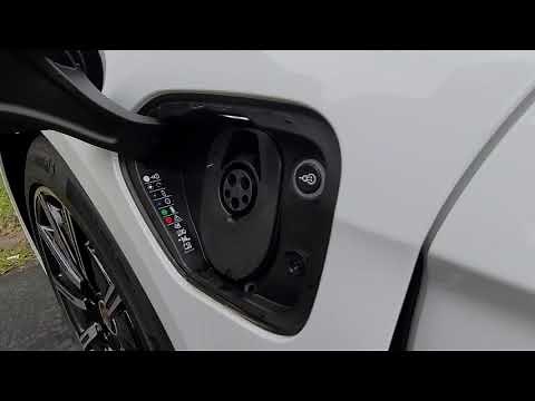 Porsche Buffalo: Porsche Taycan Charging Port Overview (Driver's Side)