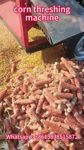 Corn Threshing Machine Working Video | High-Efficiency Maize Sheller Processing Corn Fast and Clean🌽