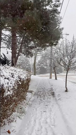 Toronto wrapped in snowfall ❄️✨ Winter magic in every frame #short