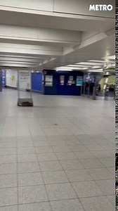 London Victoria underground station evacuated due to 'fire alert' at Friday commuter time