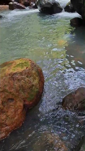 ASMR Sungai – Terapi Alam untuk Mental & Pikiran