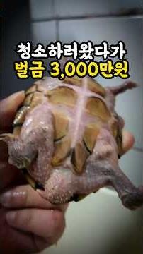 Extinction