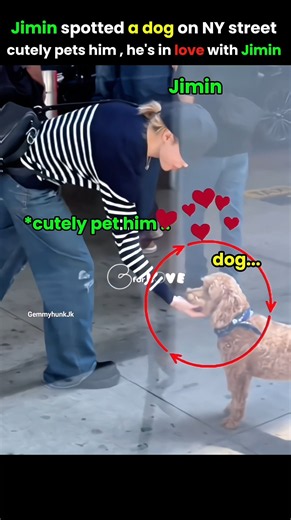 Jimin spotted a dog on street and pets his head cutely 🐶😍