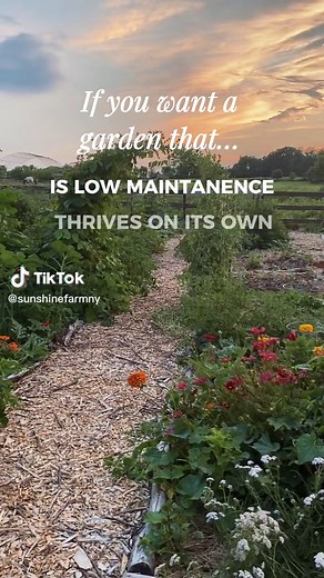 Embracing Permaculture: Gardening with Nature's Wisdom