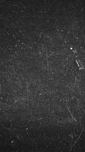 DJ WHEELS: Premier Mobile DJ & Entertainment Services