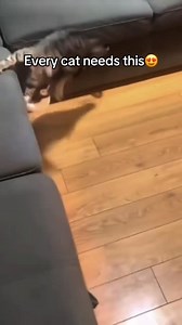 89K views · 314 reactions | Flapping bird toy for your cat, This best gift for your mew  Website Order Link: https://mewmewshopbd.com/product/pet-cat-interactive-toys-rechargeable-chirping-flapping-bird-no-flying-with-catnip-for-indoor-catstouch-activated-plush-toys | Mew Mew Shop Bd | Facebook