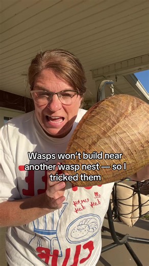 Wasp Nest Decoy — the no chemical no spray solution to keeping wasps hornets and yellow jackets away from your yard and porch. Wasps are extremely territorial and will not build a nest near an existing one. These decoys trick them into thinking the territory is already taken so they stay away completely. Just hang them up and let nature do the rest. Four pack so you can cover your whole outdoor space. No poison, no traps, no getting stung trying to spray a nest. Crunchy moms and natural living f