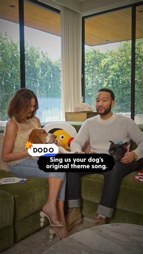 140K views · 4.5K reactions | Do all of us have custom songs for our pets? We sat down with John Legend and Chrissy Teigen for a game of Truth or Dodo, our new series where The Dodo invites celebrities to an old-fashioned game of truth or dare... but with their dogs! Head to the link in our bio for the full episode. | The Dodo | Facebook