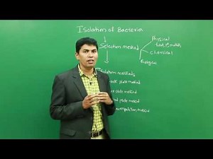 Isolation of Bacteria