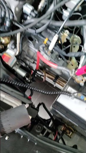 Ignition timing using timing light