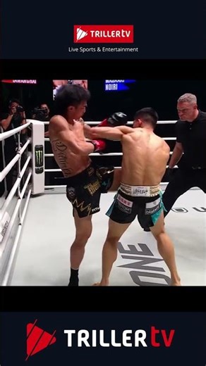 He Fights Like A Robot