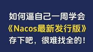 2025年B站讲的最好的 Nacos 最新发行版教程，一周学完微服务nacos所有核心知识点，让你少走99%弯路！