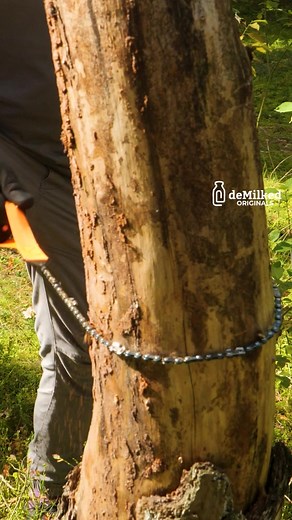 230K views · 900 reactions | Random Stove Made In The Forest | DeMilked | Facebook