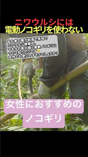 【ニワウルシ駆除】マキタより手鋸が楽！愛用ノコギリ「シルキー ズバット」を紹介します。