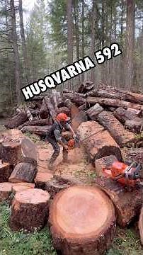 #husqvarna #592 #logger #timberfaller #firewood #chainsaws #axes #bbr