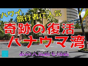 【ハワイ自然の素晴らしさ】ハナウマ湾が奇跡の復活！ フィッシュマーケットがまた一つ閉店【エアハワイ】【4K】