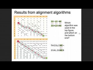 DynamicProgramming Part3 Global (Needleman-Wunsch) Local (Smith-Waterman) algorithms