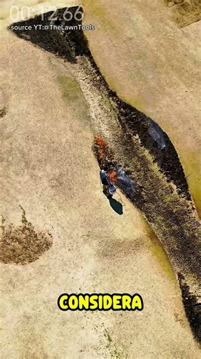 Why do they burn the weeds instead of pulling them up?