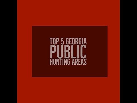 Top 5 Georgia Public Hunting Areas