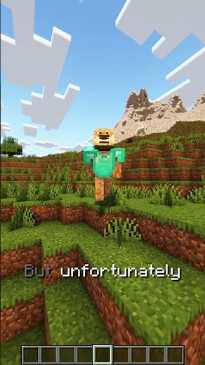The Elytra + Chestplate Combo Is REAL?