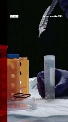 Singapore restaurant only one in world selling lab-grown meat. #Shorts #Food #Singapore #BBCNews