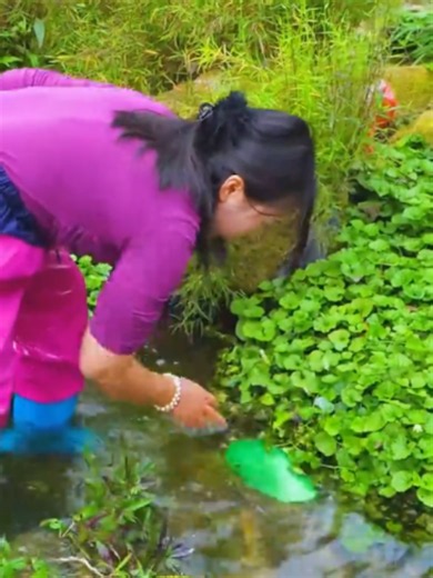 😱🎁Pry open the giant green clam, inside it is pregnant with dazzling green pearls, extremely beautiful #giantclam #pearls #SatisfyingVisuals #TreasureReveal #asmr