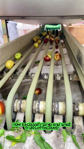 How to classify large and small fruits effectively