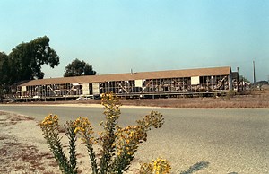 What really happens at Fort Ord?