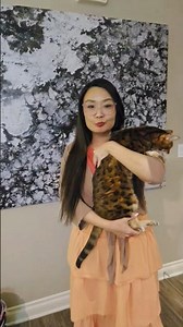 Did you know Bengal cats talk a lot?