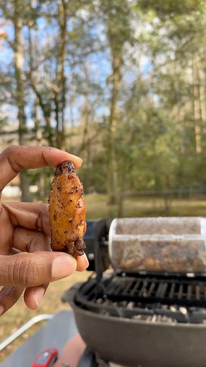 9K views · 72 reactions | Wings on the Roto Q 360 | Smokepointq | Facebook