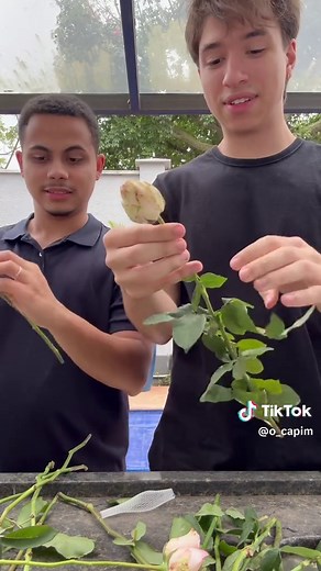 Montando Buquê: Dicas para Flores Perfeitas