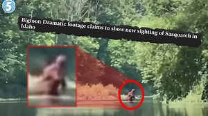 These clips will make you believe in Bigfoot 👣😱 | Top5s
