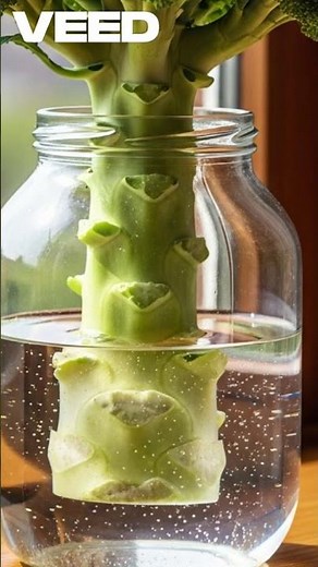 🥦 ReGrow INFINITE Broccoli From ONE Store-Bought Head!🥦Don't toss it out Regrow those scraps!♻