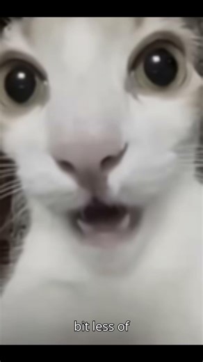 ife hack!1!1!! shocking 🤯 #funny #hamburg #shorts #real #memes #cat #rblox #roblox #edit