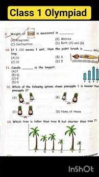 How to Solve Measurement Questions? | Math Olympiad Prep for Kids 🧠#olympiadclass1 #shorts