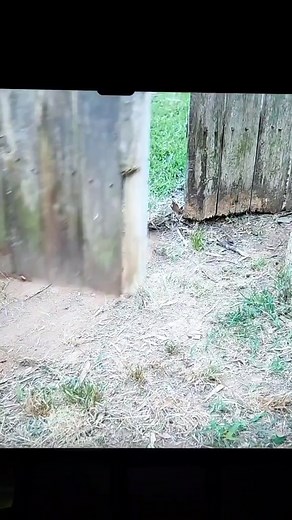 Fixing Sagging Wooden Gates: Upgrade with Steel Adjustable Gate Brace