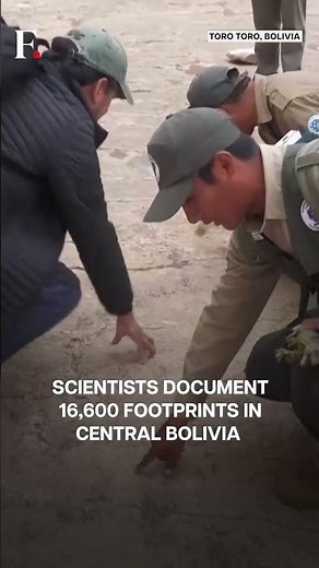 Bolivia: Scientists Discover Largest Dinosaur Footprints | N18G