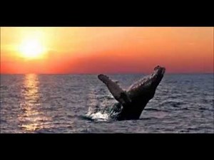 Vetson'i Fianara - Atolotra ampitiavana