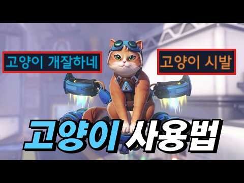 Overwatch Cataclysm season, new character "Jetpack Cat" mastered.