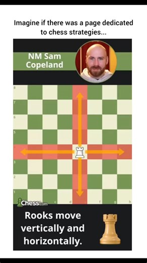 Chess Strategy on Instagram: "Every move counts in the game of chess! Plan ahead, think strategically, and dominate the board. ♟️易 Follow @strategyforchess for more videos! Follow  @buymycell #ChessStrategy #MindOverMatter #Checkmate"