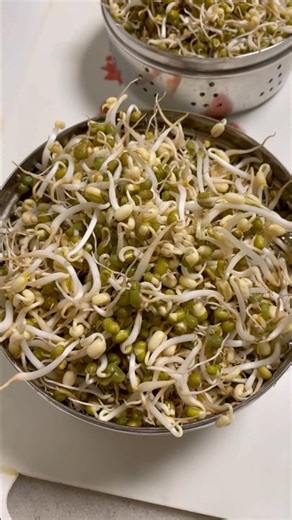 “Healthy Sprouts in a Sprouting Dish! Easy & Simple 🌱⚡”