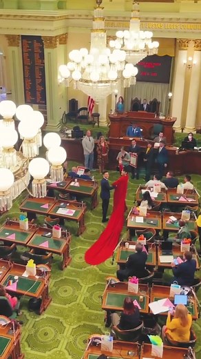 running for secretary of the gays 🏳️‍🌈✊🏳️‍⚧️ #pride #lgbtq #fashion