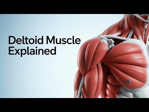 Exploring the Deltoids: Understanding Trigger Point Locations for Better Muscle Health