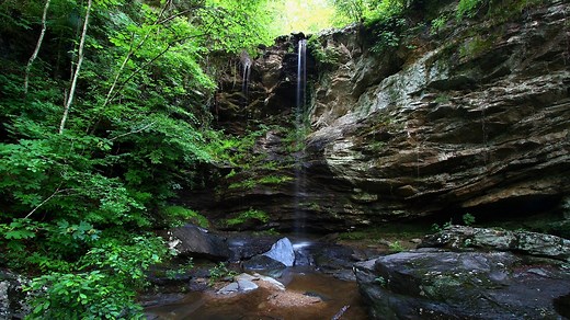 Alabama Pictures and Facts