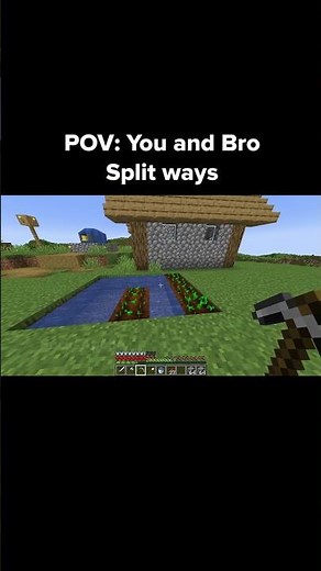 Minecraft Split Moment