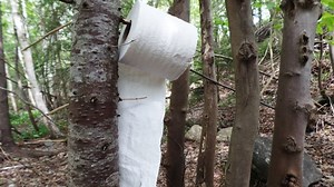 A gross encounter of the 'turd' kind: Everything you need to know about pooping in the woods